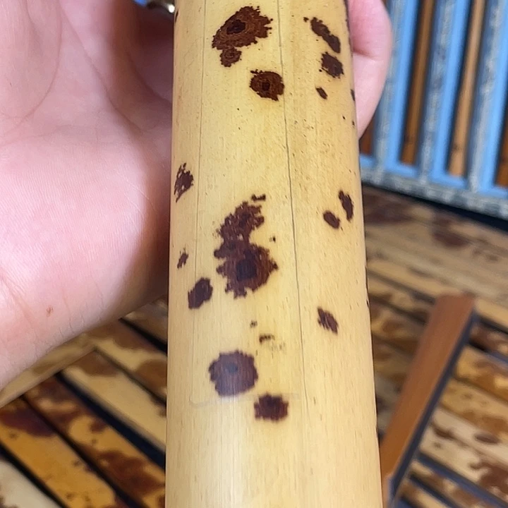 扇子折扇和扇面设计4