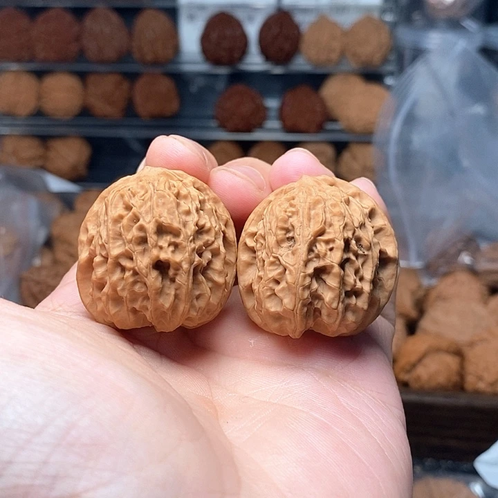 1文玩核桃龙珠33-205