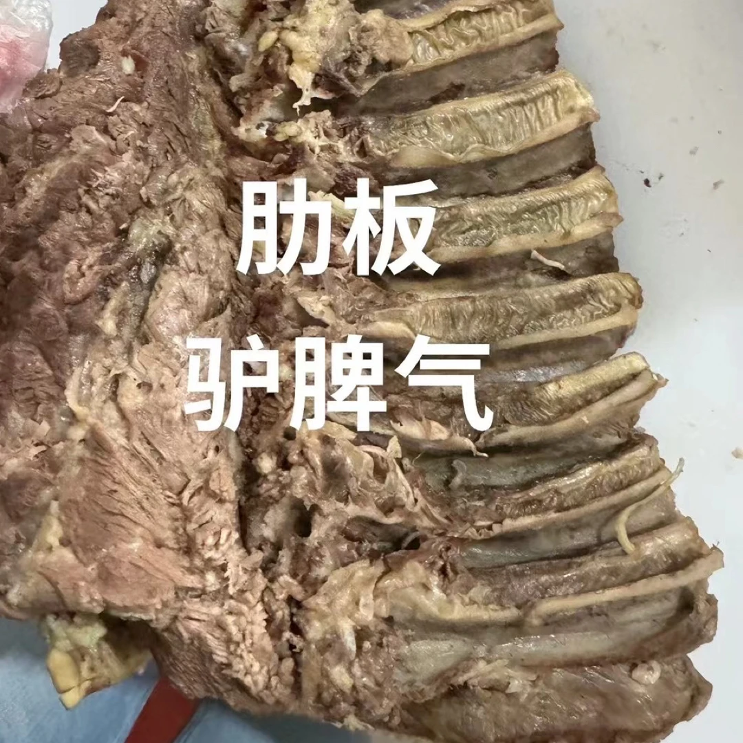 驴肋排 驴肋板驴肉五香卤煮 开袋即食真空包邮