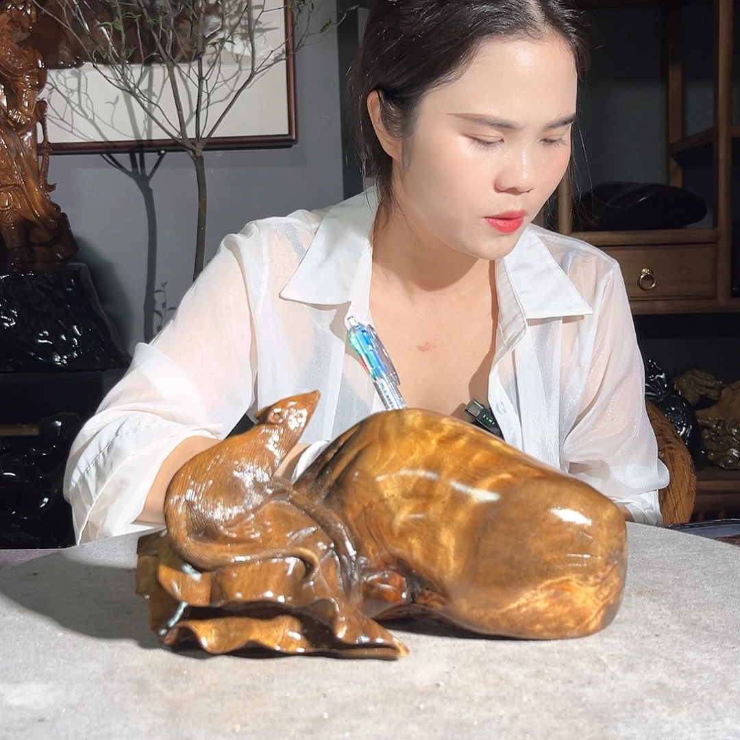 一***李金丝楠一物一图2155588866