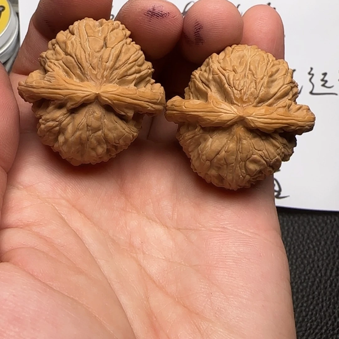 文玩核桃把件72白狮子40尺精修