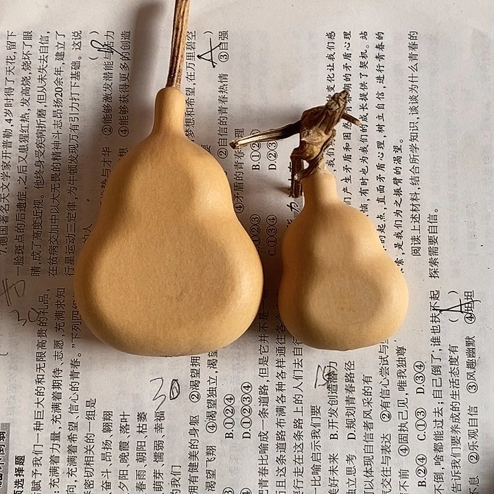 木***花天然植物葫芦夹扁有点色差