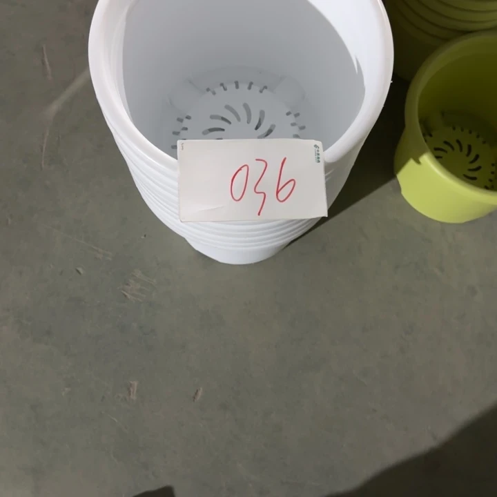编号是036号的036号的