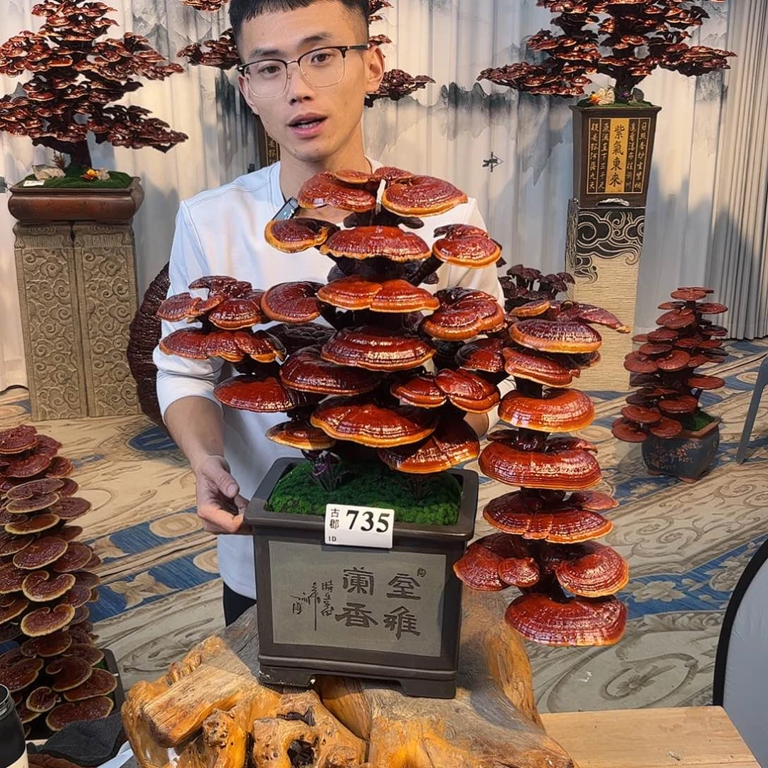 无花朵88888888898888
