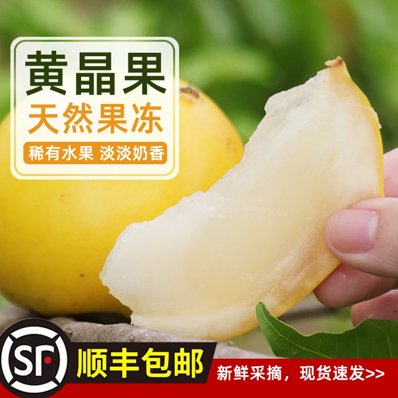 【顺丰包邮】黄晶果6号雅美果当季牛奶黄金果新鲜燕窝果稀有水果