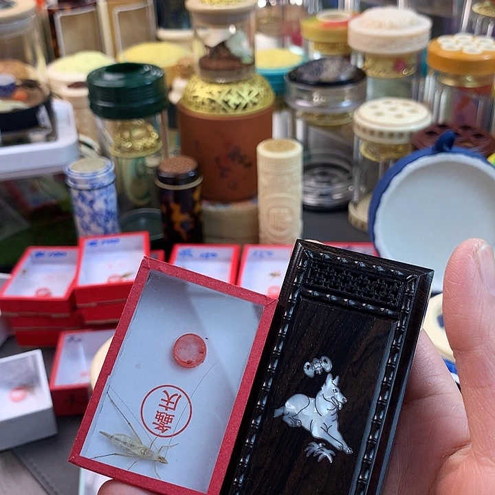 天***道套装啊啊啊啊啊啊