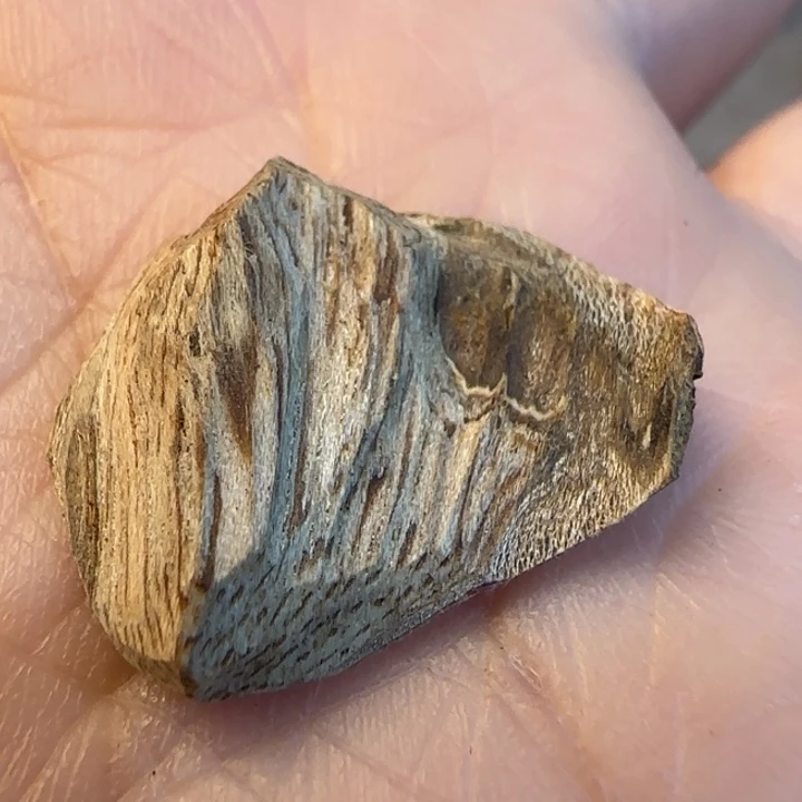 沐***:沉香摆件海南野生虎斑0.4克