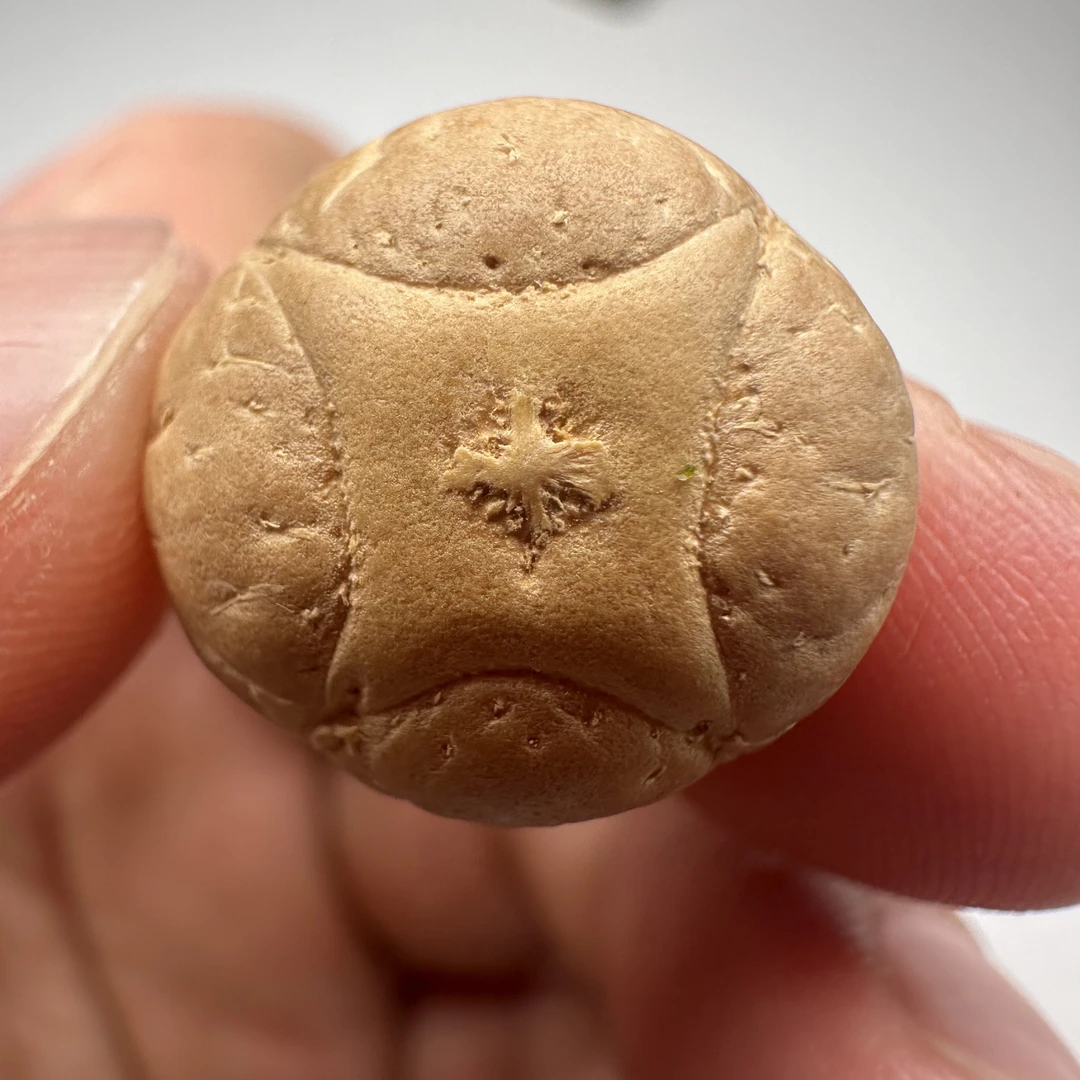 尼泊尔麒麟眼菩提，尺寸17，福利系列