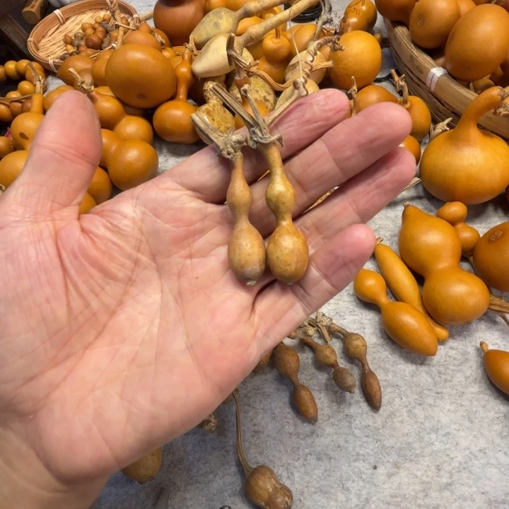路***漫慢慢地，两把蚂蚁葫芦葫芦葫芦一起