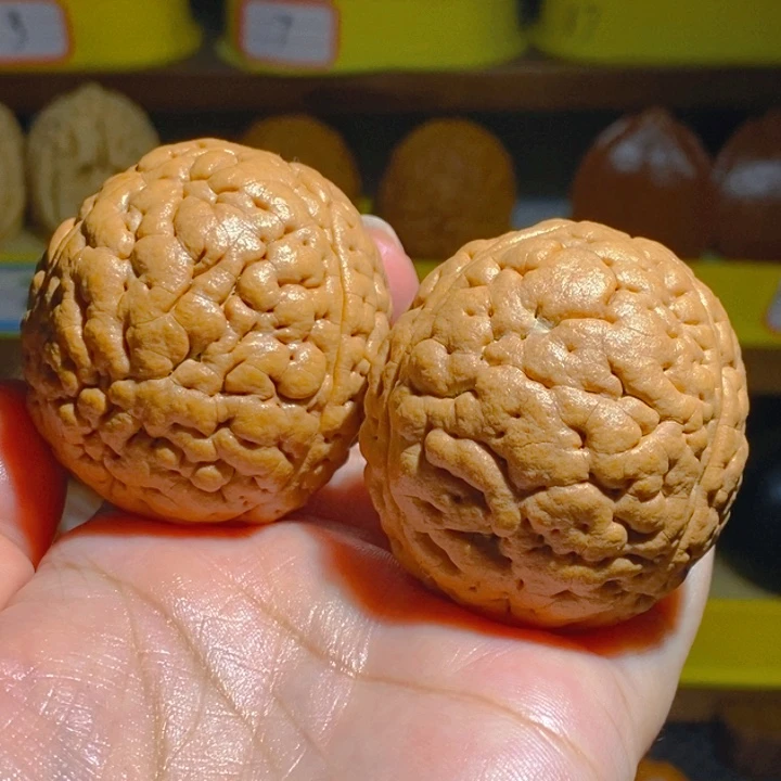 野生三瓣脑纹大金刚4749