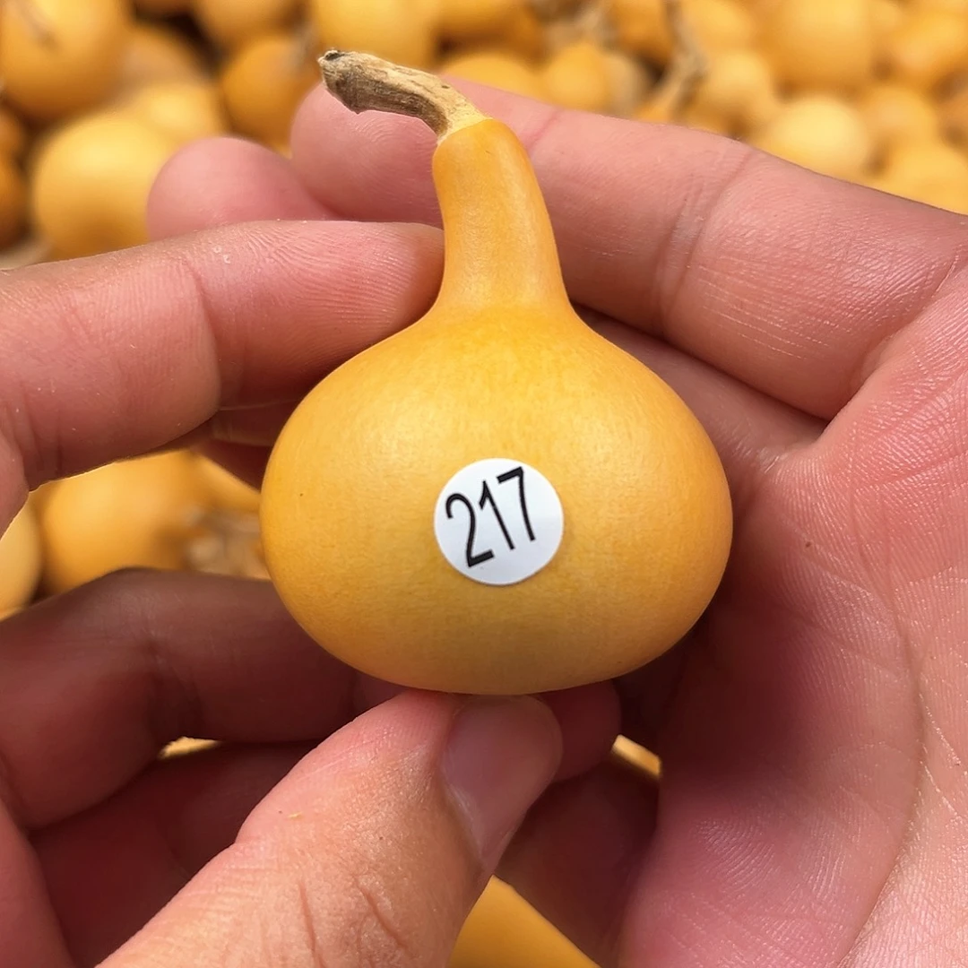 三葫芦葫芦葫芦葫芦 217