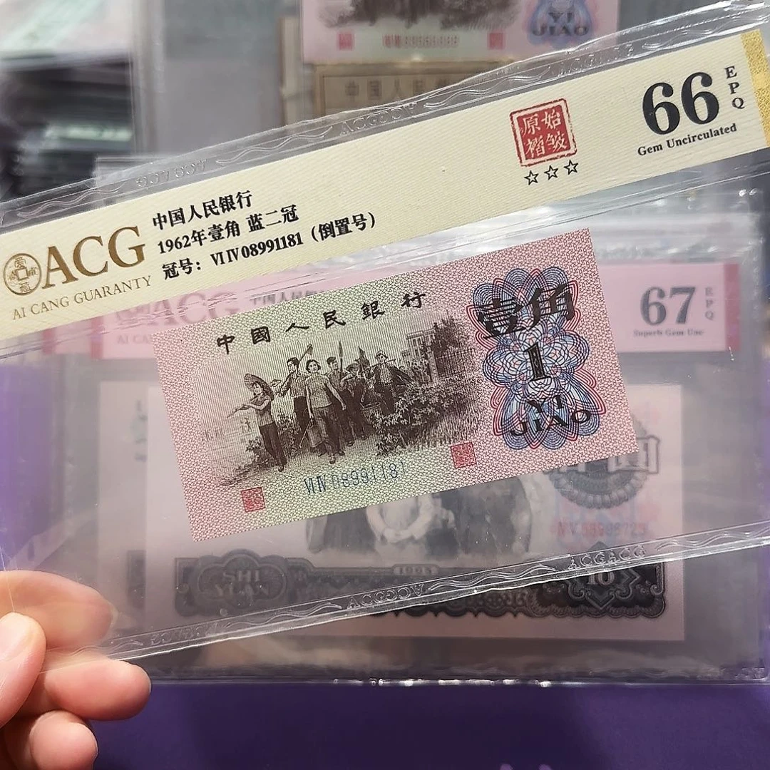 纸08991181。。。。。倒置褶皱