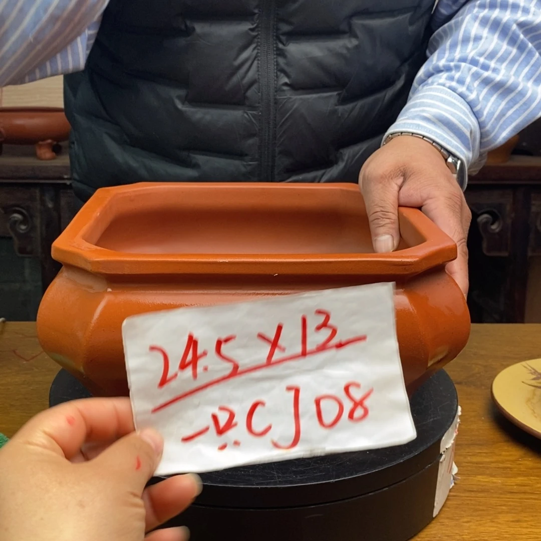 红陶货号一只CJ08