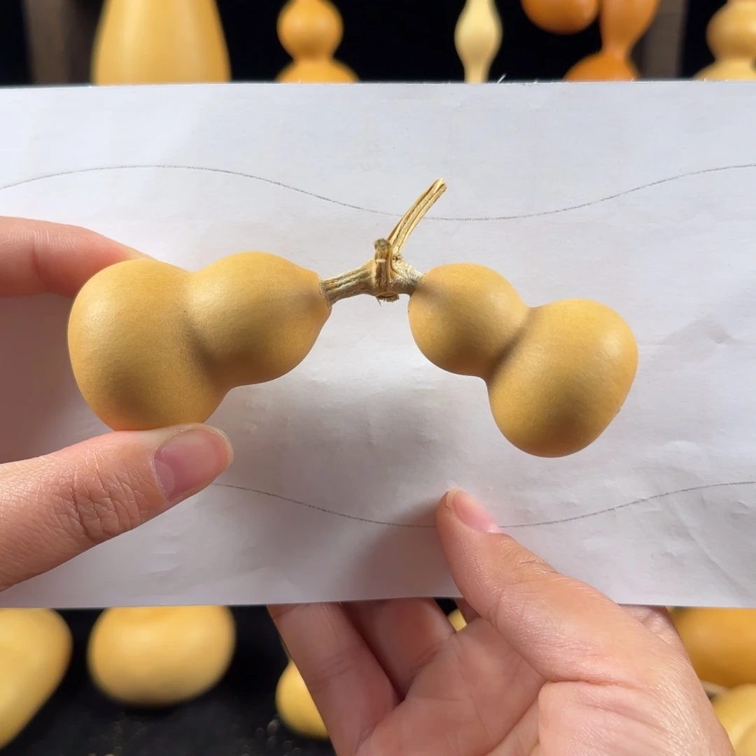 小美连枝葫芦葫芦葫芦葫芦