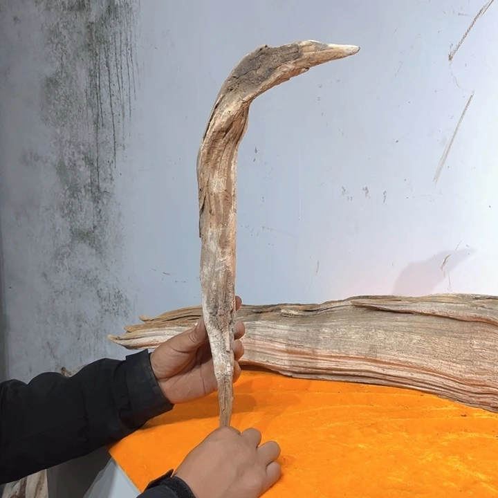 火***山柏木崖柏等自然资源和生态资源