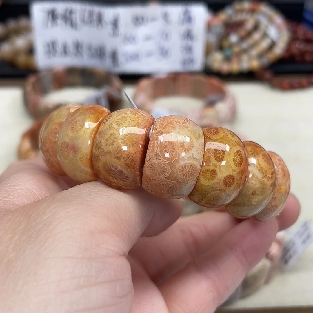 未镶嵌手串硅化珊瑚（珊瑚玉）A**a458