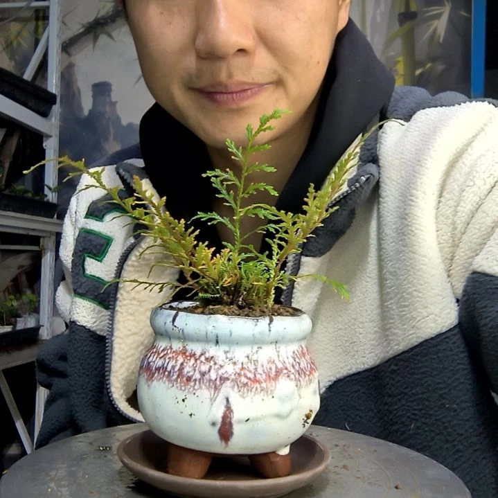 用****9中青园艺一物一拍153