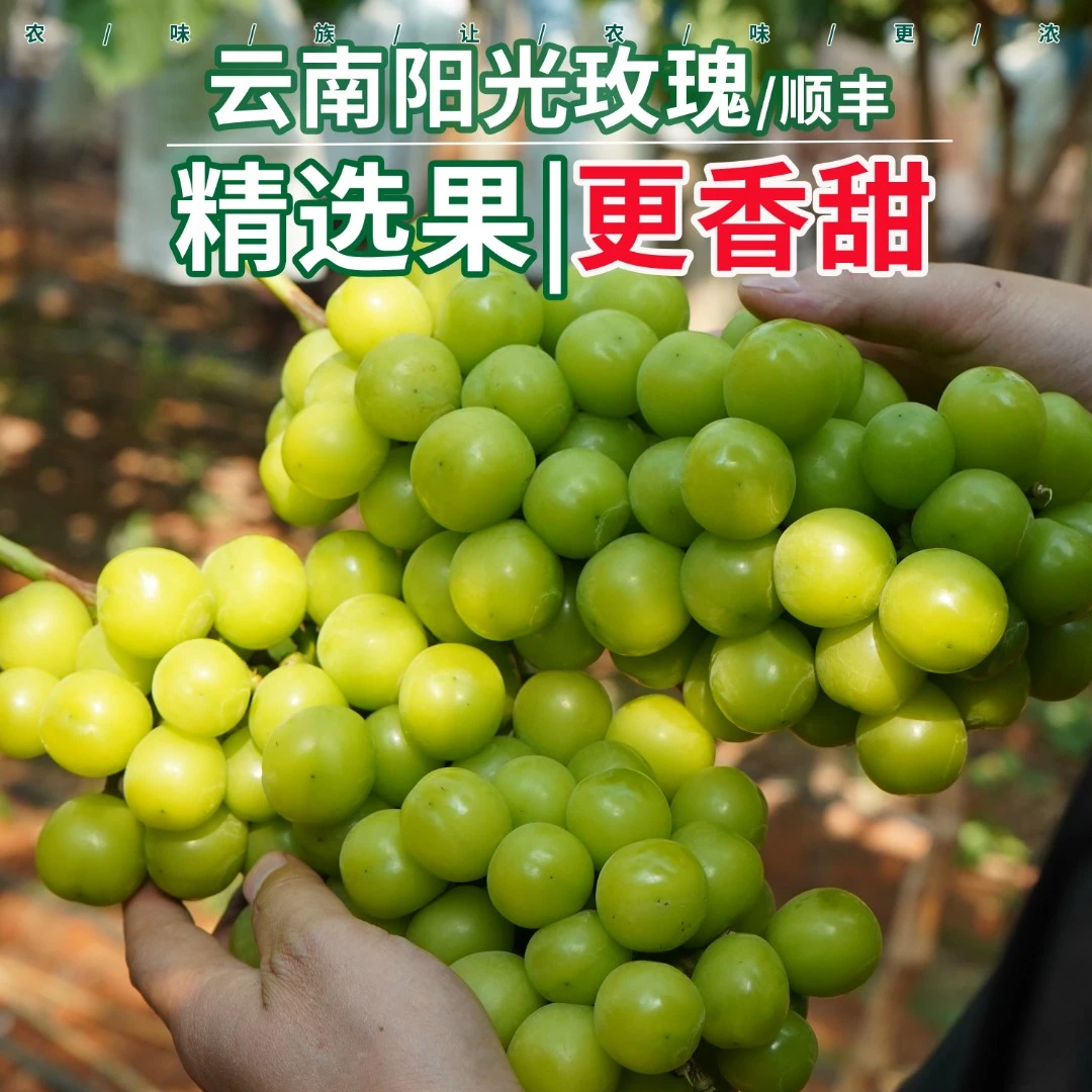 农味族云南阳光玫瑰葡萄顺丰水果精选新鲜纯甜2斤晴王