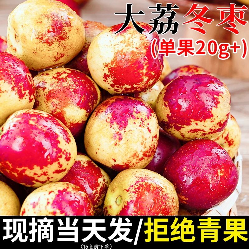 正宗陕西大荔新鲜冬枣时令冬枣脆枣水果应当季爆甜大果整箱5斤