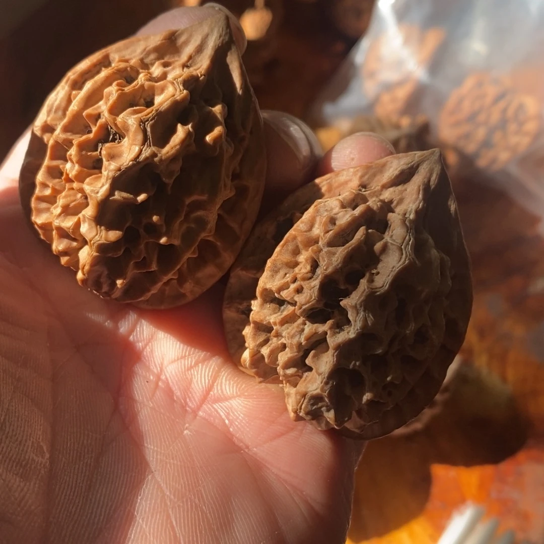 秦岭南北缘是指长江北岸