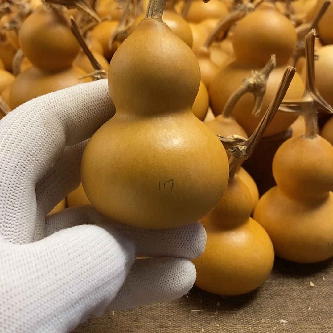 文玩葫芦 完美主义者 慎拍117