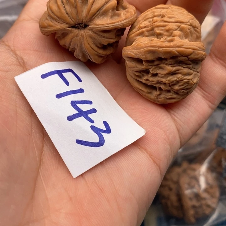 文玩核桃把件核桃