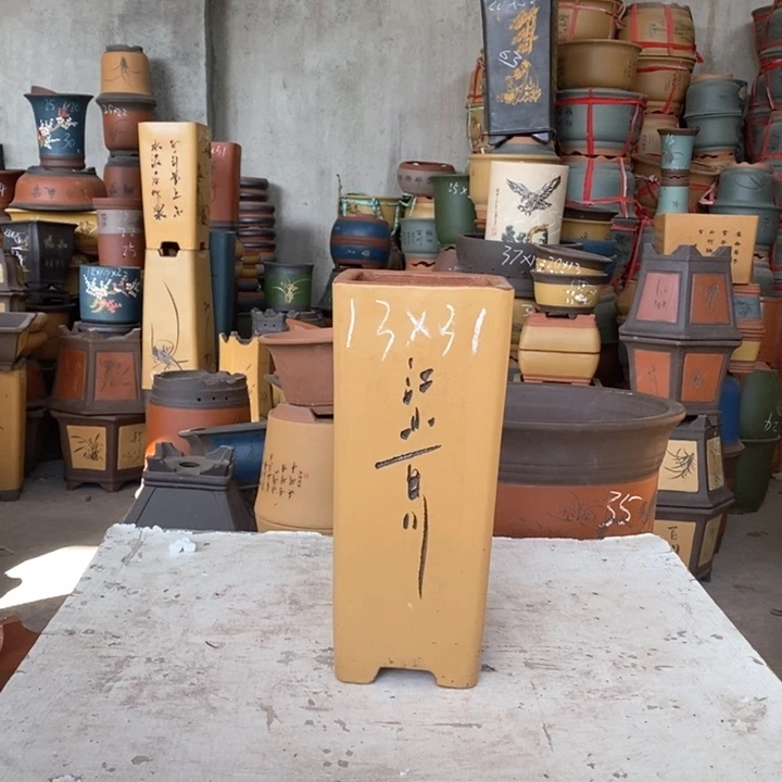 紫砂花盆盆栽花卉苗木种植