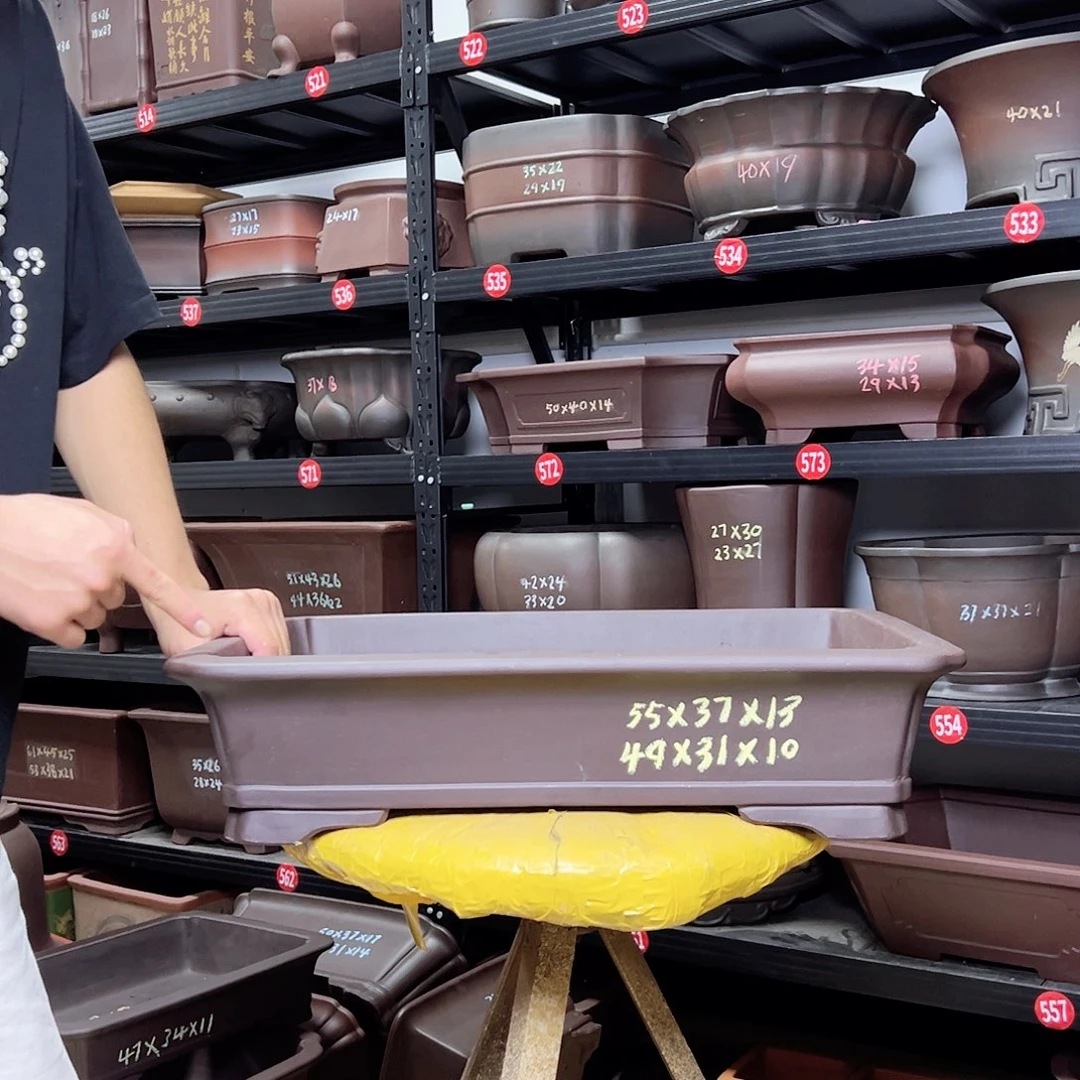 紫砂其他呜呜呜呜