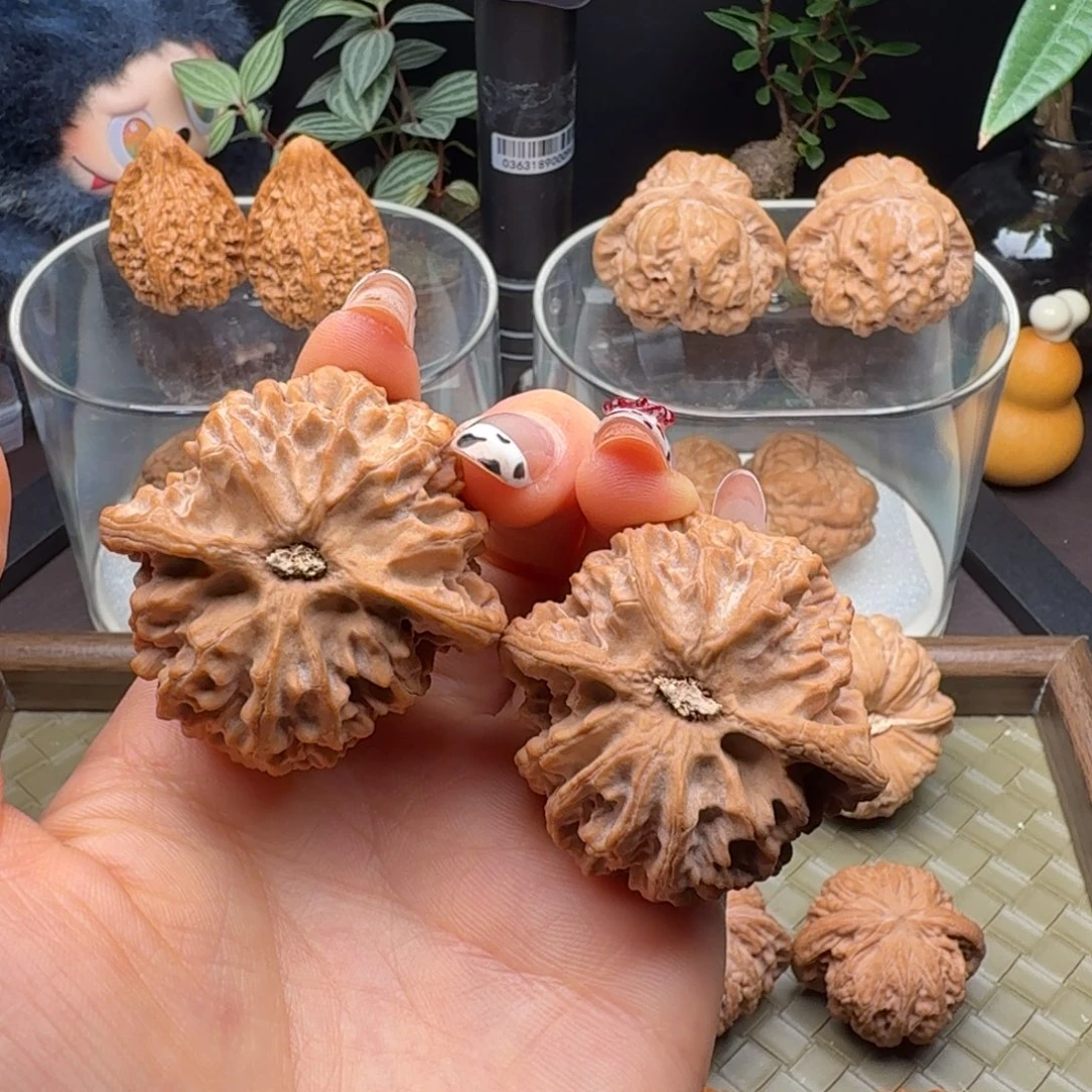把件龙脊菩提全品苹果园42