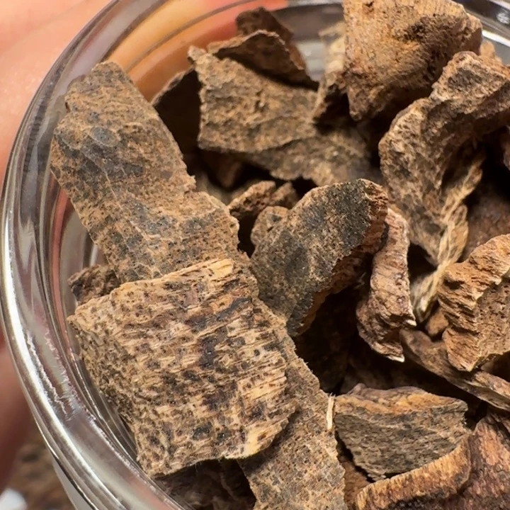 用***6沉香碎屑沉香香港天然野沉香鸡母虫老香块料50克