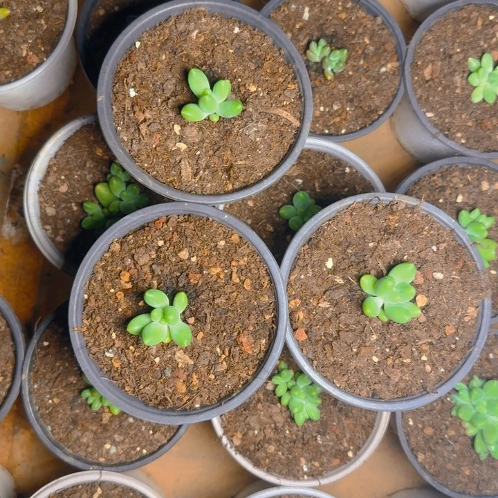 蓝眼睛福利111111111111