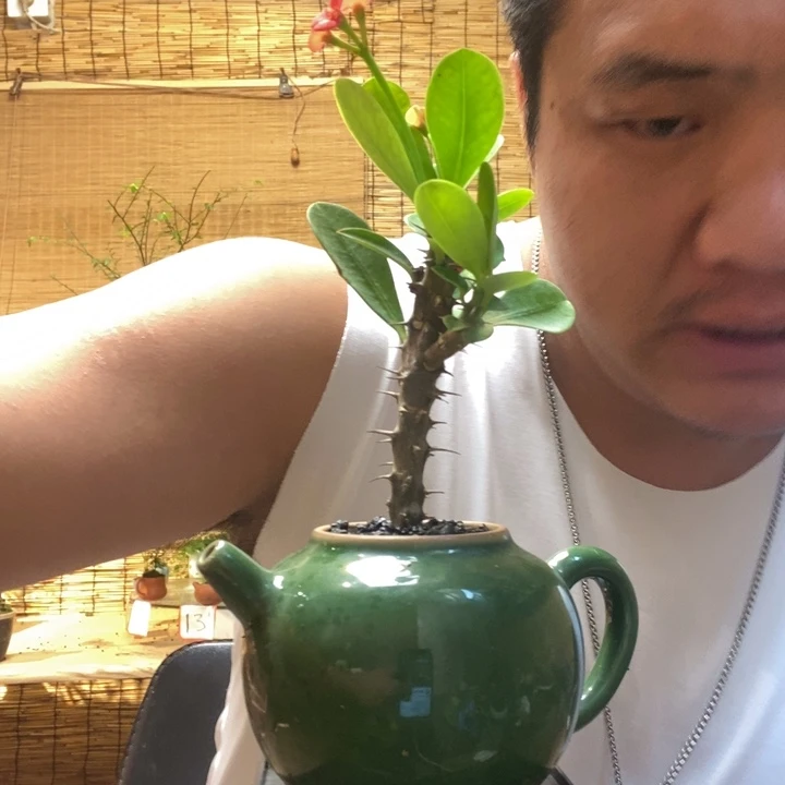 钱****6一物一拍所见即所得510