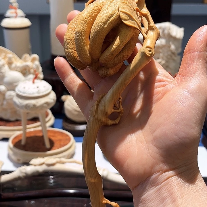 黄杨木幻**梦小叶黄杨木