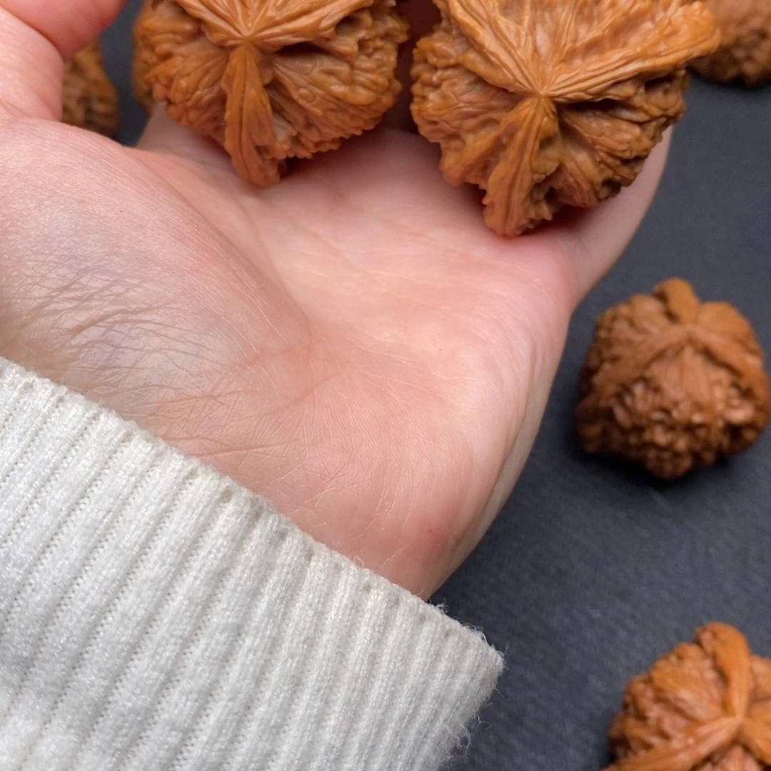 张*兵白狮子11111111