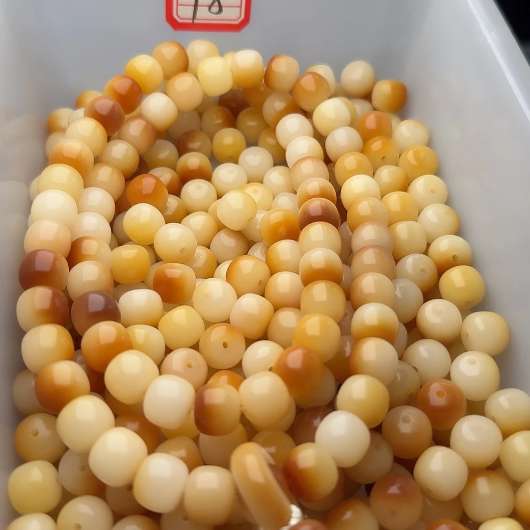 吊坠菩提根/象牙果50颗炭烧11桶