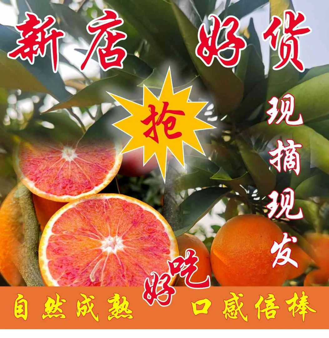 长寿湖血橙血脐橙子【礼盒装】新鲜多汁水果皮薄京东顺丰