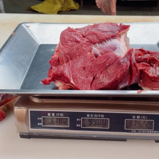 【闪购商品】冷冻保存30天包装河北省?***✔