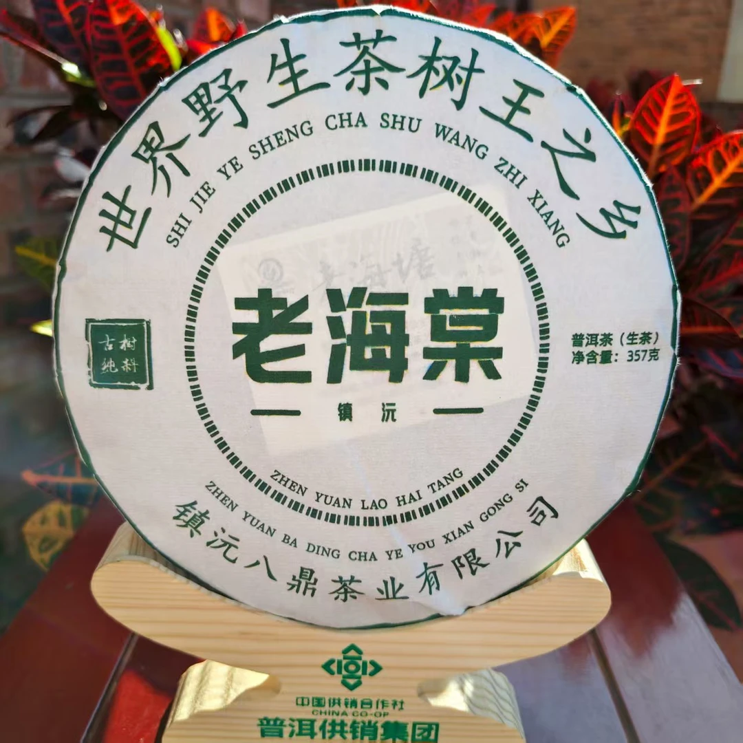 【镇沅供销代表】老海塘 生茶饼 茶王杯 375克生茶饼