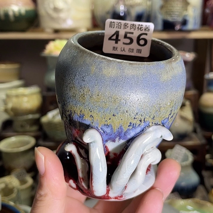 狼盆内口径5高度8