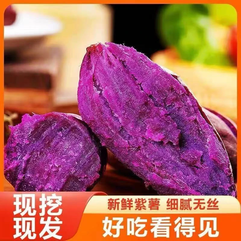 【现挖现发】新鲜沙地紫罗兰紫薯软糯香甜紫心红薯营养粗粮早餐辅食