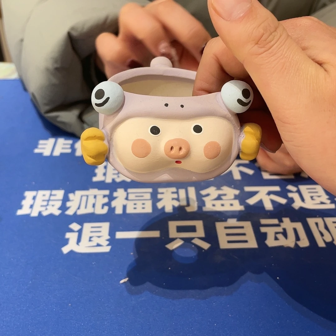 红陶马上就要开始发财哦202