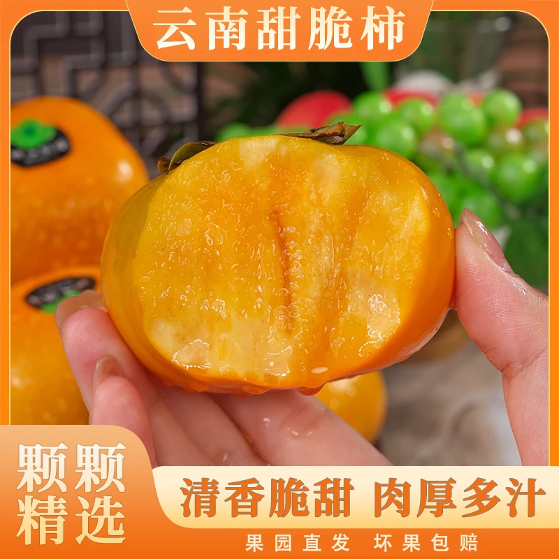 【顺丰】云南甜脆柿新鲜头茬高山甜脆柿脆甜多汁新鲜采摘精选3斤起