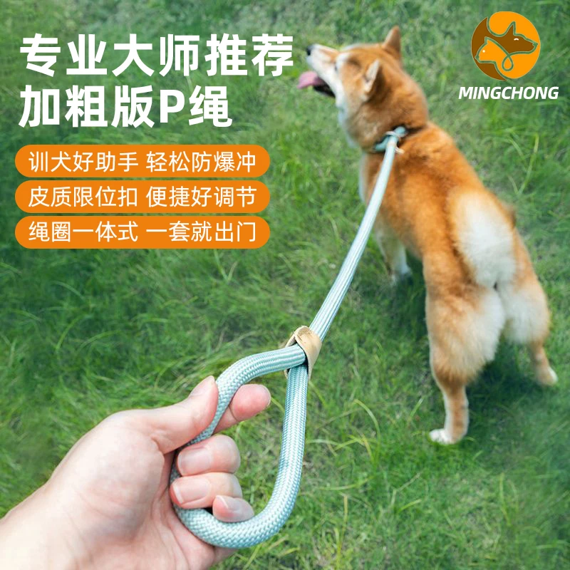 狗绳p绳防爆冲遛狗训练绳跟随赛级防脱大型犬牵引绳狗链子