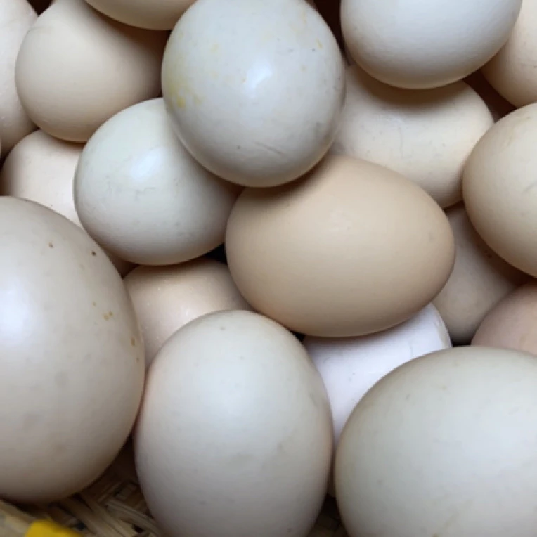 农家散养新鲜富硒鸡蛋营养丰富品质好