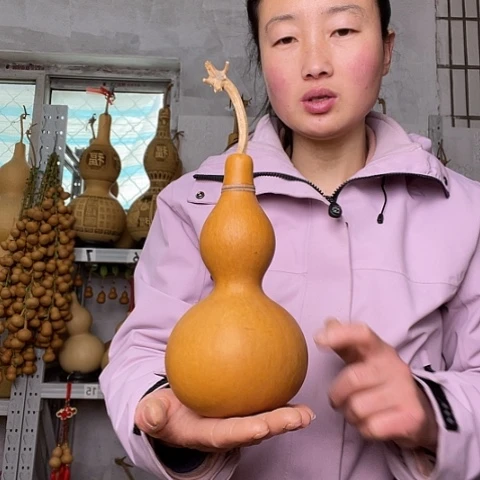 Z*天然植物葫芦文玩