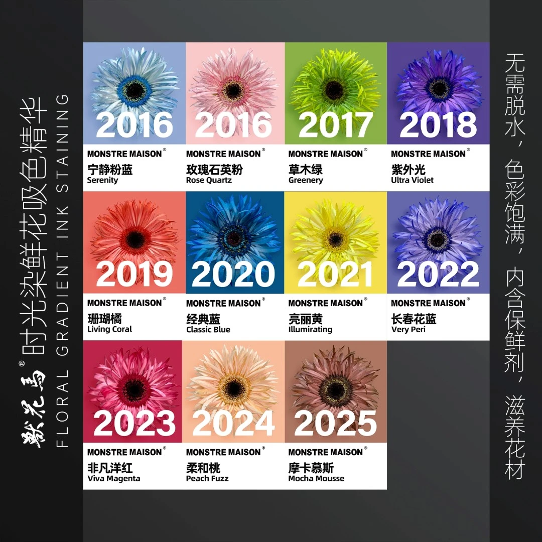 兽花马【时光染】鲜花吸色精华/鲜花吸色染色剂/渐变养护花材