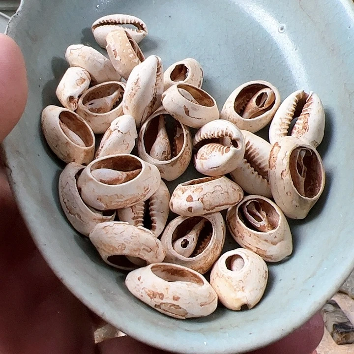 瓷片瓷器瓷器瓷器瓷器