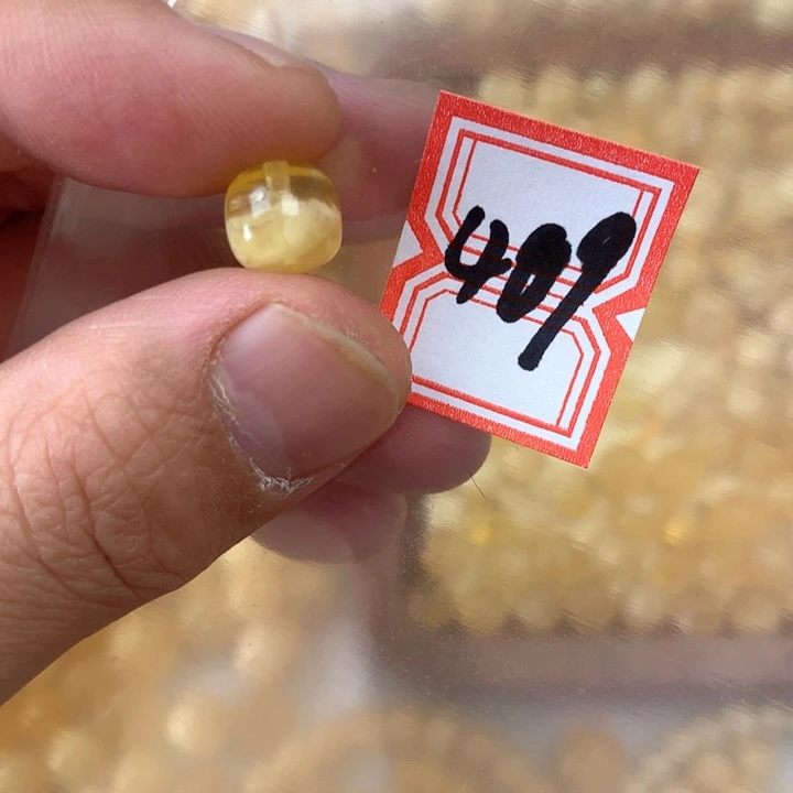 裸石琥珀未镶嵌9.2