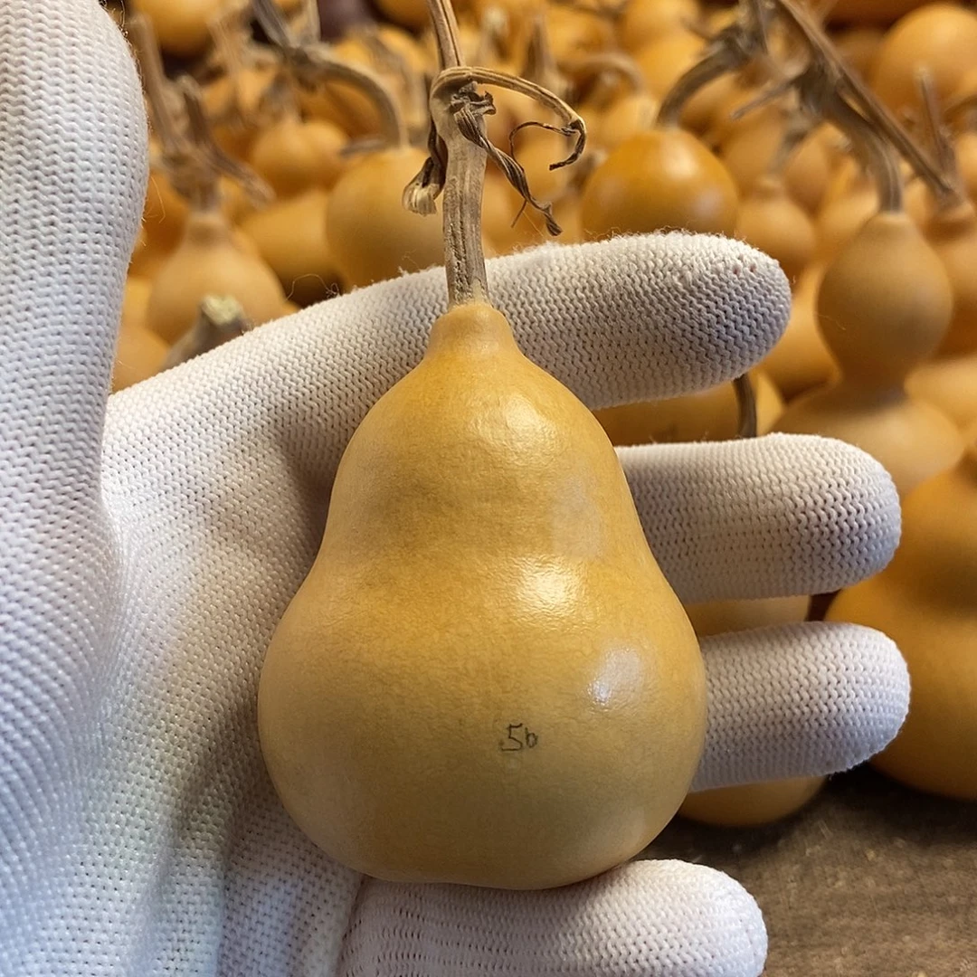 文玩葫芦 完美主义者 慎拍50
