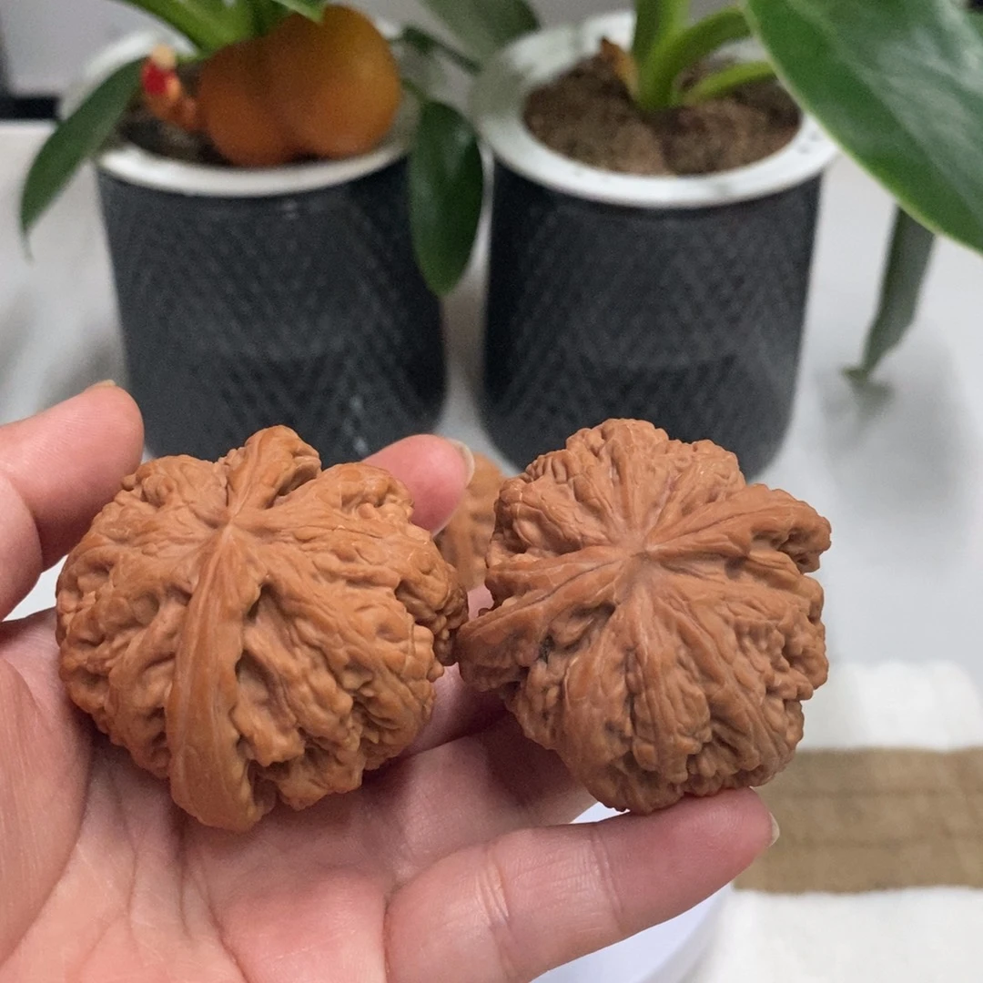 汉***克木质粗筋58.9——————-